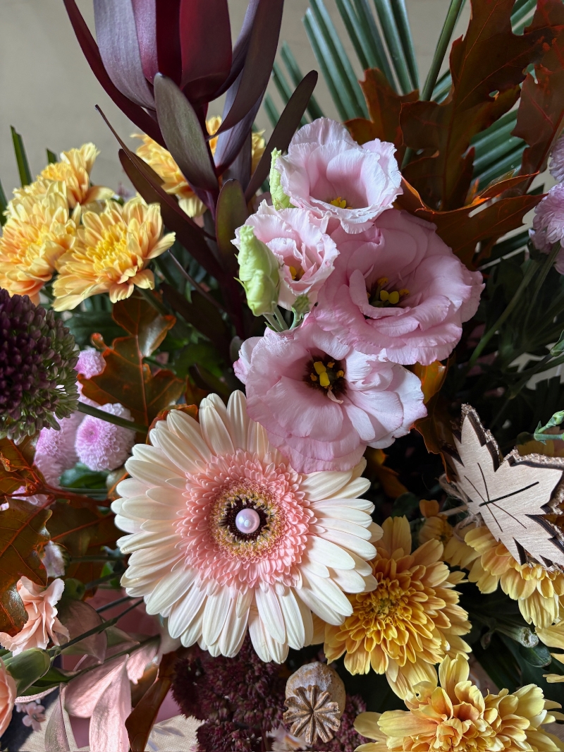 Autumnal Blush