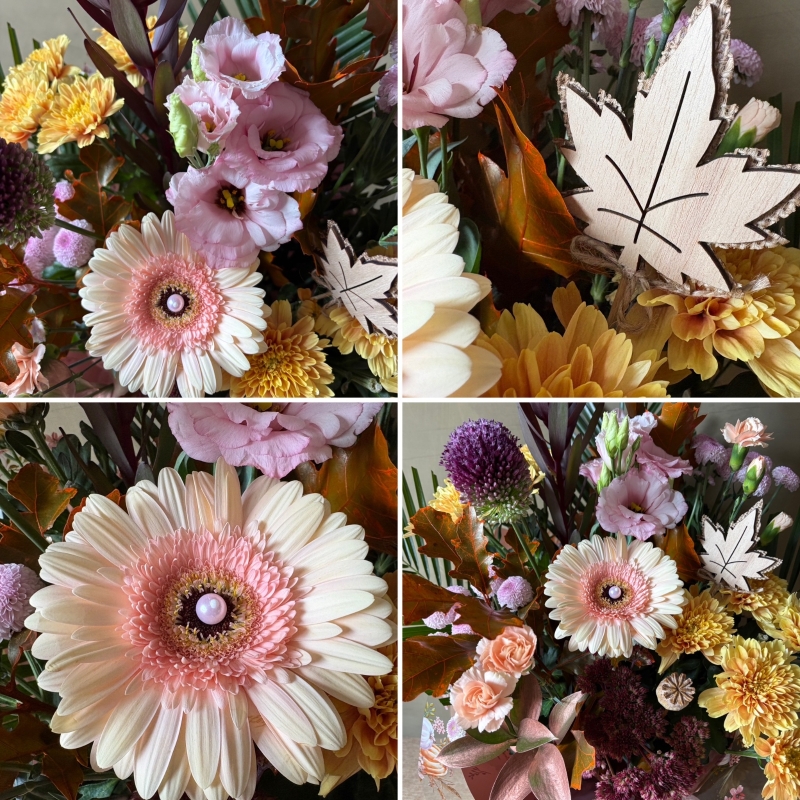 Autumnal Blush