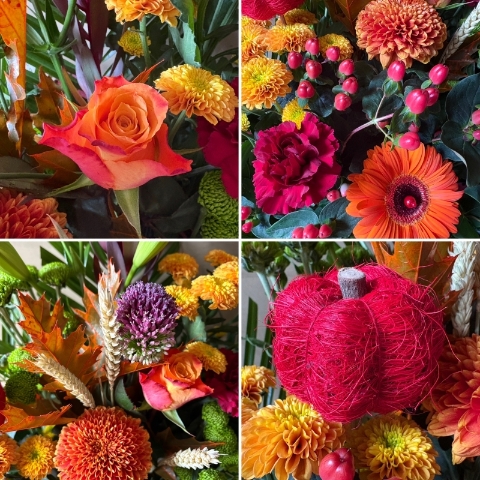 Autumn Harvest
