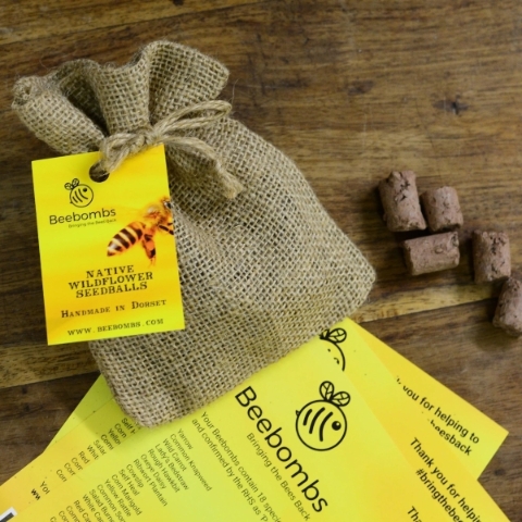 Bee Bomb