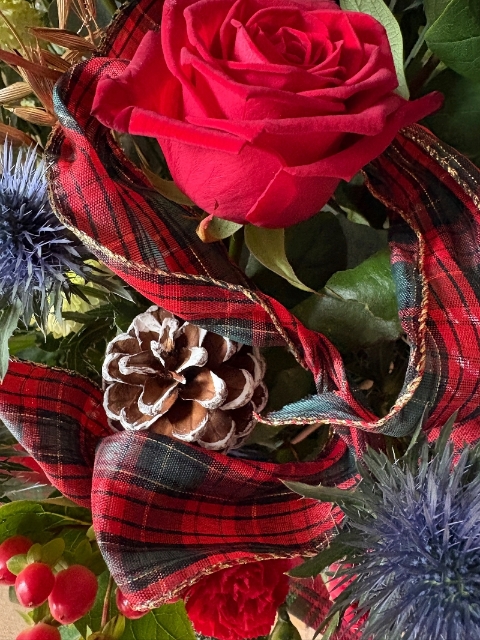 Tartan & Thistle